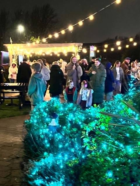 The Teal Farm garden at night, busy, with festoon lights and glowing green bushes