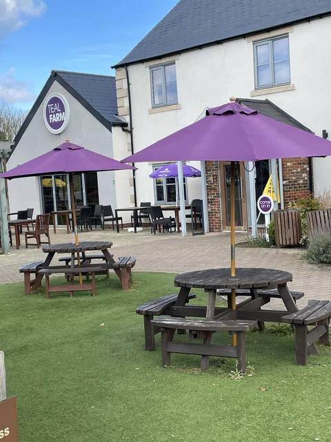 The Teal Farm beer garden on a sunny day, with purple umbrellas over the picnic benches